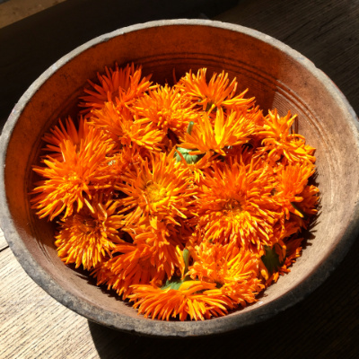 Eine Schüssel mit leuchtend orangen Calendula-Blüten: Ringelblume ist bestens geignet zu Pflege Kaiserschnittnarbe